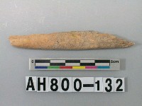 藏品(獸骨殘骸)的圖片